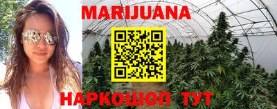 гидра Краснодар