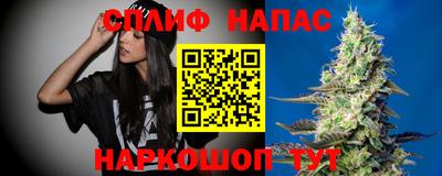 гидра Краснодар