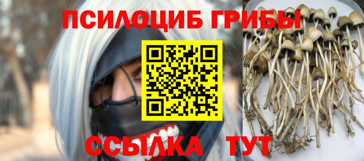 Псилоцибиновые грибы мицелий Арзамас